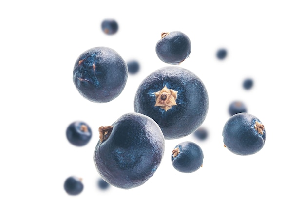 Juniper berries levitate on a white background