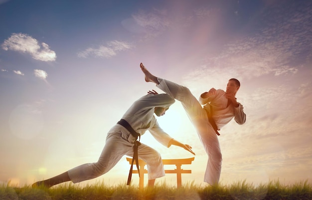 Free photo karate fighters