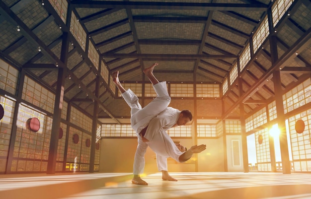 Free photo karate fighters