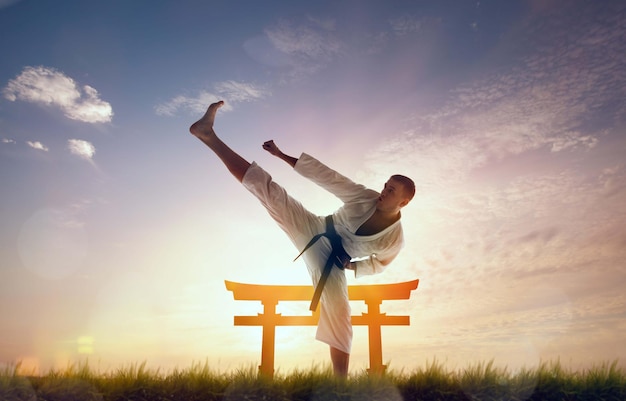 Free photo karate fighters