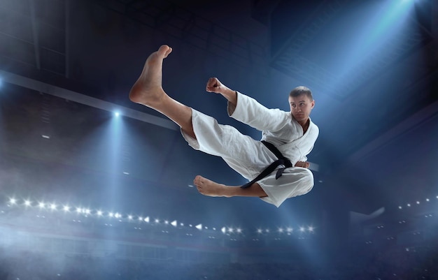 Free photo karate fighters