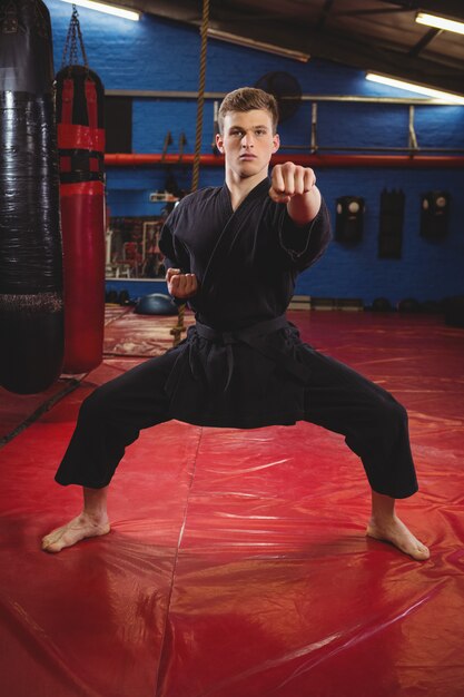 Karate player performing karate stance