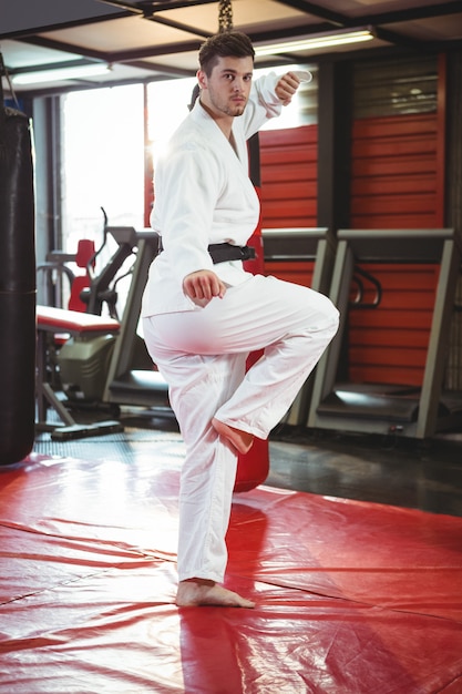 Free photo karate player performing karate stance