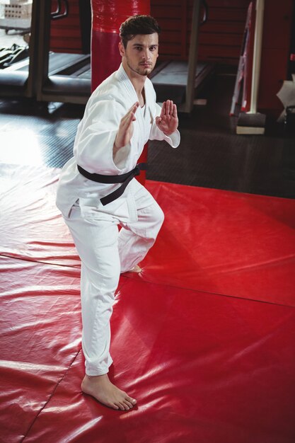 Karate player performing karate stance