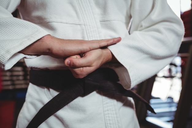 Free photo karate player performing karate stance