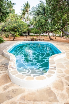 Кения. роскошный бассейн в африканском саду с типичными местными стульями из дерева на заднем плане