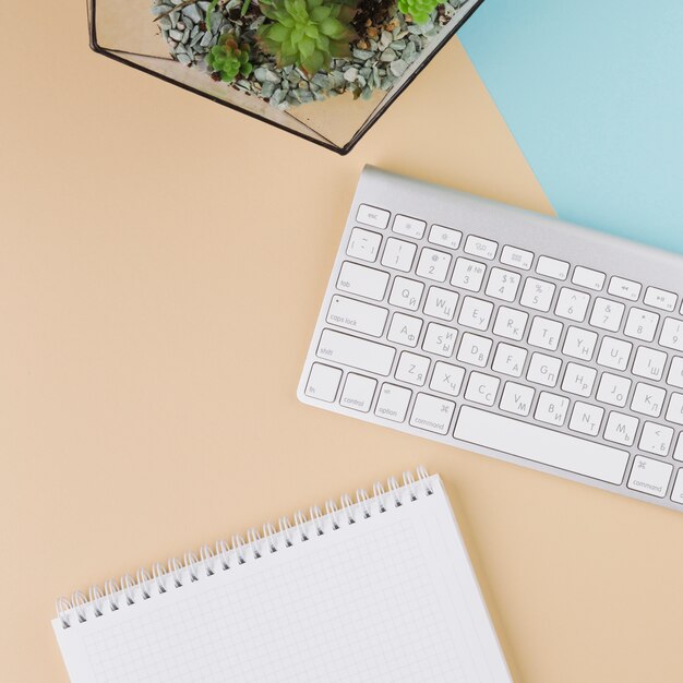 Keyboard with notebook and plant on table