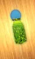 Free photo keyhole with a green field