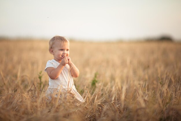 日没のライフスタイルで小麦畑の子供の幼児