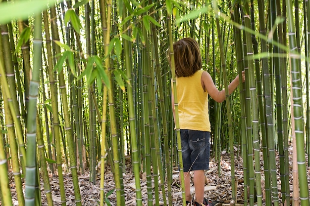 Kid walking through a bamboo forest