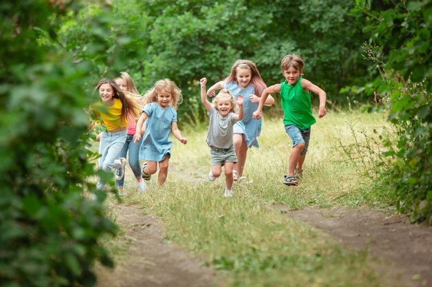 子供たち、緑の牧草地で走っている子供たち