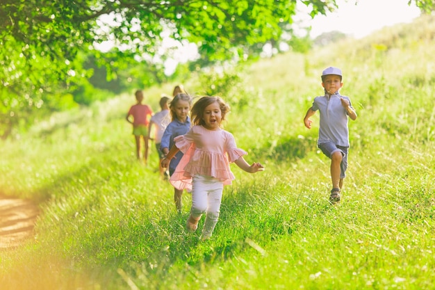 Kids, children running on meadow, summertime