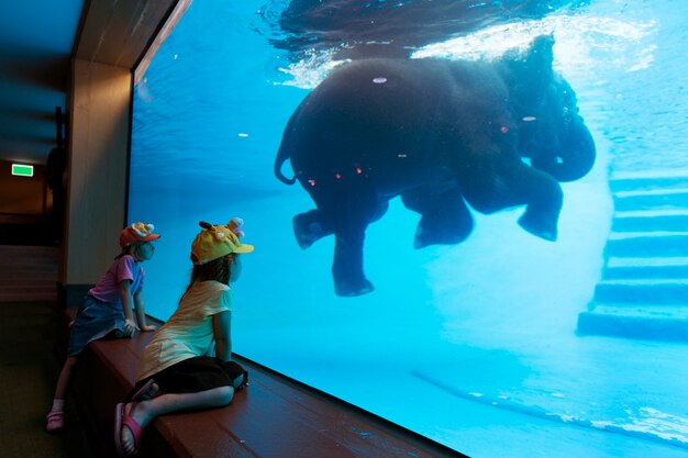 Дети, наслаждающиеся наблюдением за слоном, плавают в баке с водой