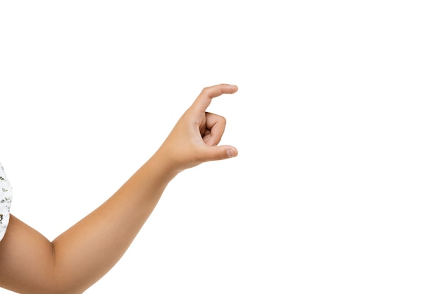 Free photo kids hands gesturing on white