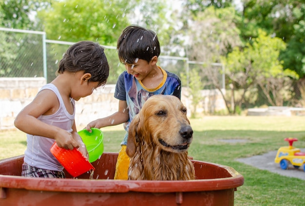 Bambini che fanno la doccia insieme al loro simpatico golden retriever in giardino