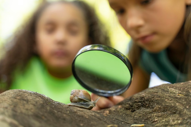 Kids looking together at a snail