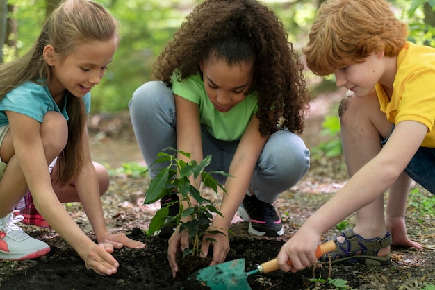 Kids planting together in the forest