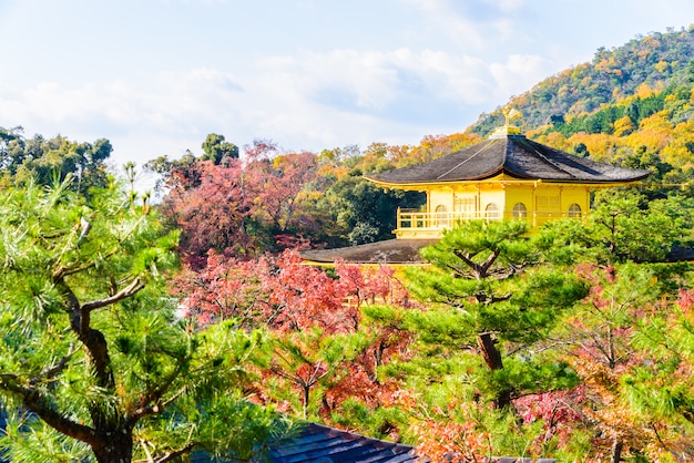 긴카 쿠지 사원