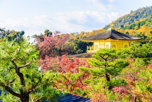 긴카 쿠지 사원