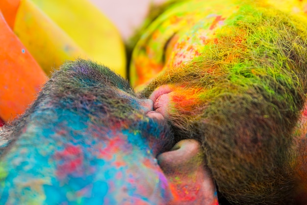 Free photo kissing soiled gays in holi powder