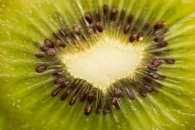 Kiwi fruit with seeds close-up