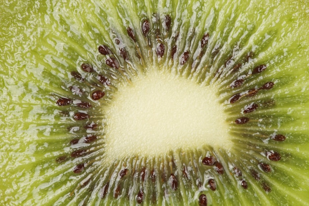 Kiwi macro