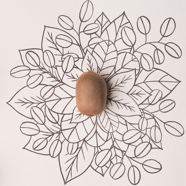 Kiwi over outline floral background