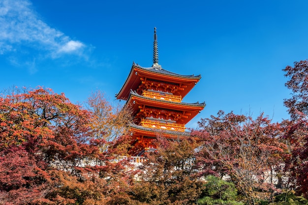 秋の清水寺、日本の京都。