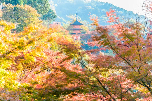 Kiyomizu dera temple in Kyoto at Japan