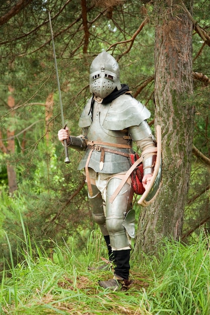 XV時代の装甲の騎士の騎士