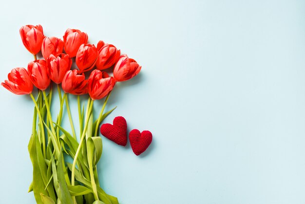 Knitted hearts near tulips