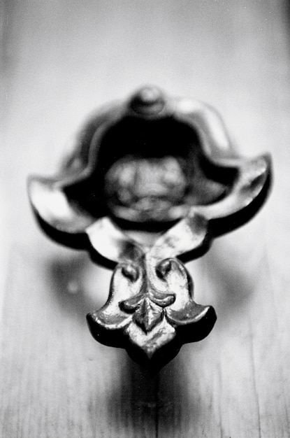 Free photo knocker of a door