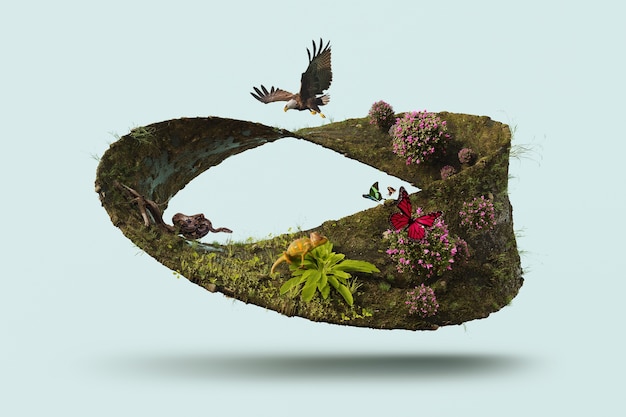 The Role of Erosion in Shaping Landscapes