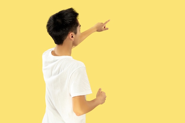 Korean young man's portrait. Male model in white shirt. Pointing up to the place for your ad. Concept of human emotions, facial expression. Trendy colors.