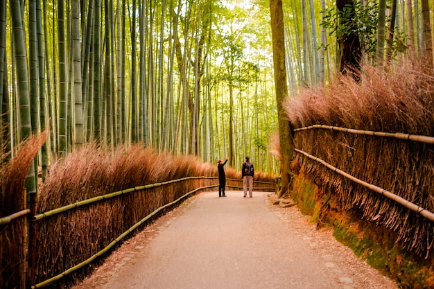 Free photo kyoto, japan - november 12: the path to bamboo forest in kyoto, japan on november 2015. kyoto is one of the most famous tourist destination in japan.