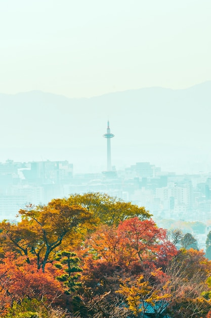 Foto gratuita torre di kyoto