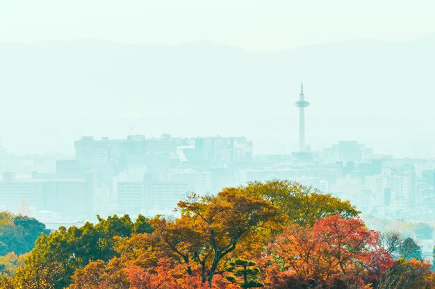 Foto gratuita torre di kyoto