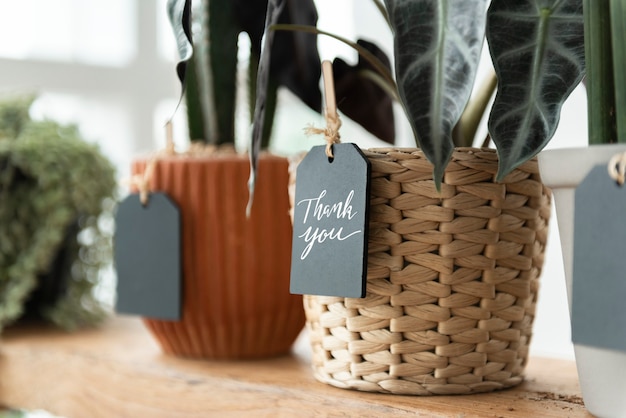 Labels on plants in a florist shop