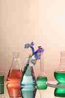 Foto gratuita vetreria da laboratorio con liquido colorato e fiore