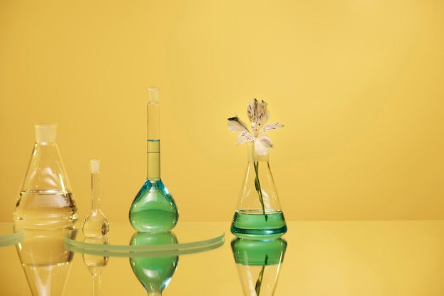 Free photo laboratory glassware with green liquid arrangement