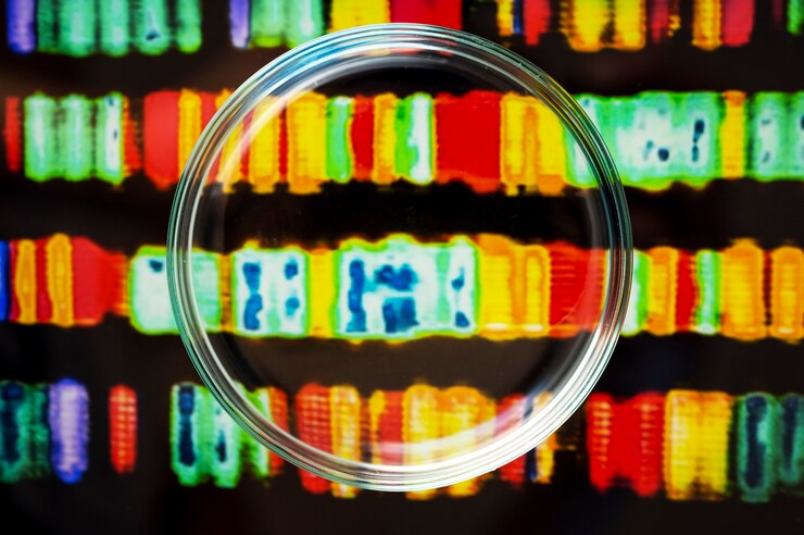 Free Photo laboratory supplies for medical work