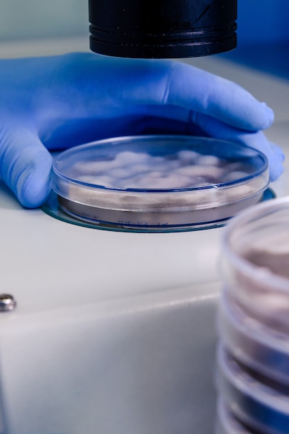 Laboratory worker examining a substance in a petri dish while conducting coronavirus research