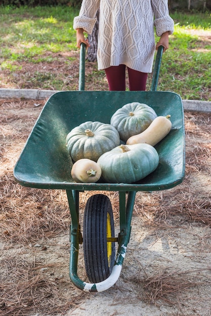 Signora con verdure fresche nel carrello di utilità