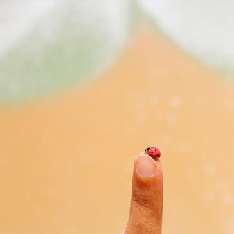 Ladybug crawling on a finger