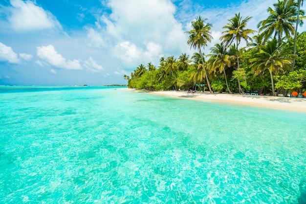 泻湖的白色海洋夏天沙子