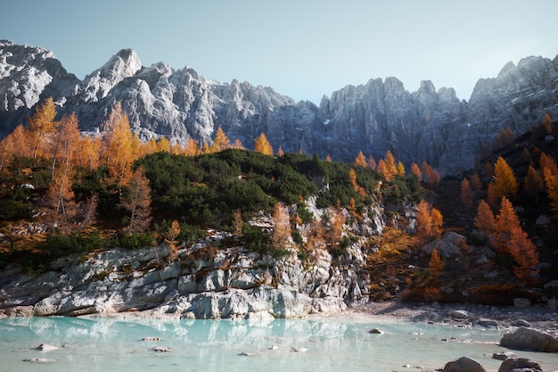 Lake at the base of a beautiful mountain covered in trees