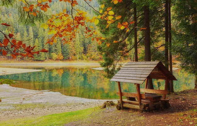 Lake in a forest with a gazebo and small pier for pleasure pedal catamaran on the lake shore