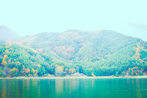 Озеро Kawaguchiko