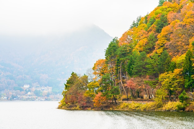 Free Photo lake kawaguchiko