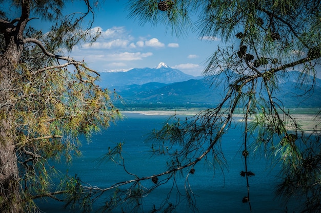 木の枝から見える湖と山々